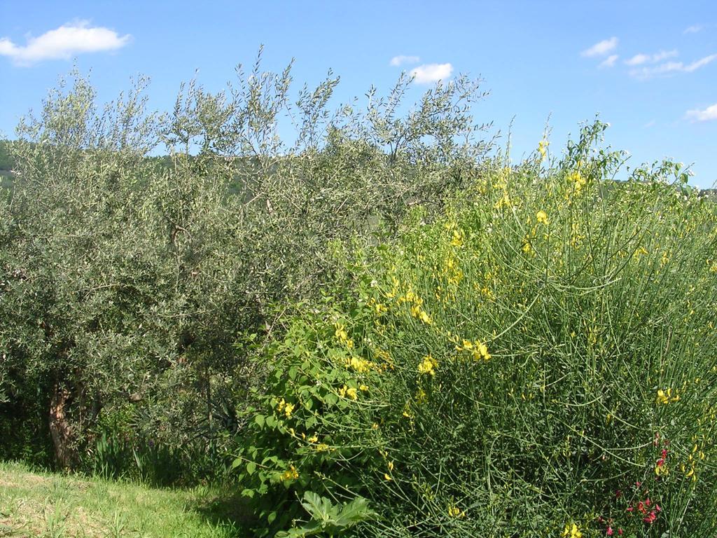 Guardalaluna Villa Pian di Scò Kültér fotó