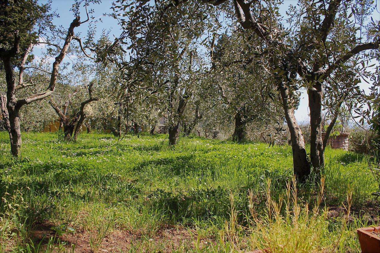 Guardalaluna Villa Pian di Scò Kültér fotó